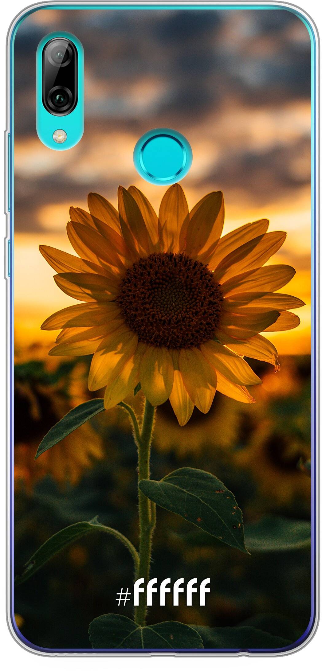 Sunset Sunflower P Smart (2019)