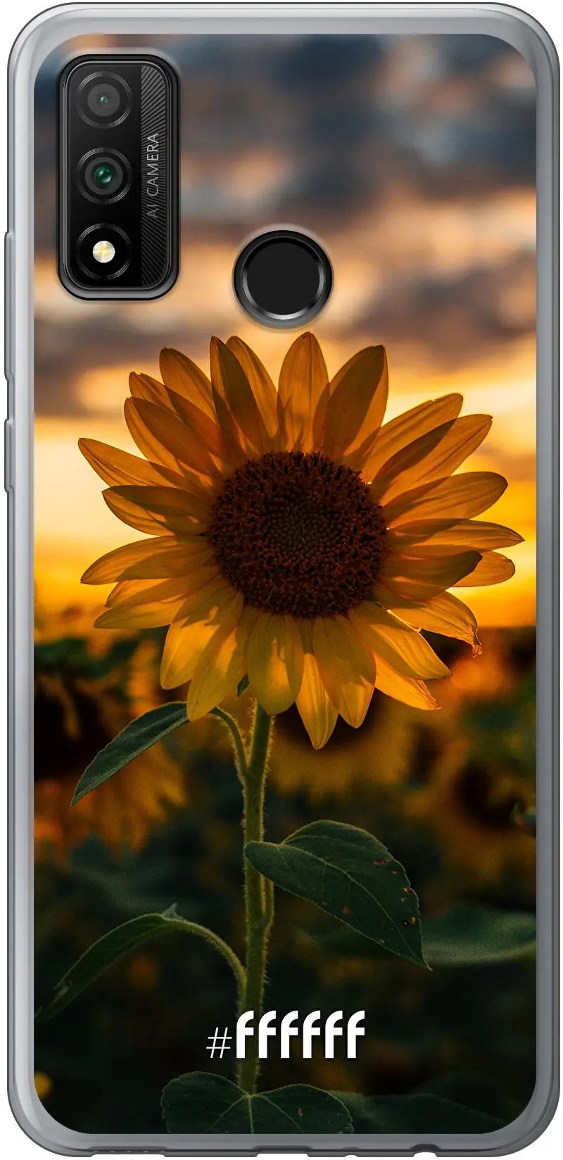 Sunset Sunflower P Smart (2020)