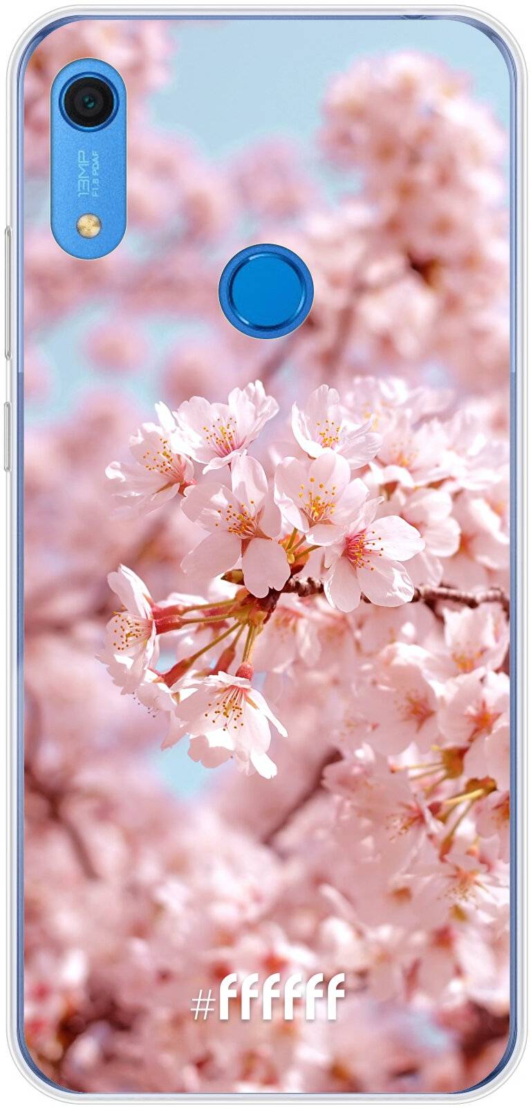 Cherry Blossom Y6 (2019)