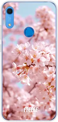 Cherry Blossom Y6 (2019)