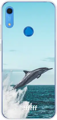 Dolphin Y6 (2019)