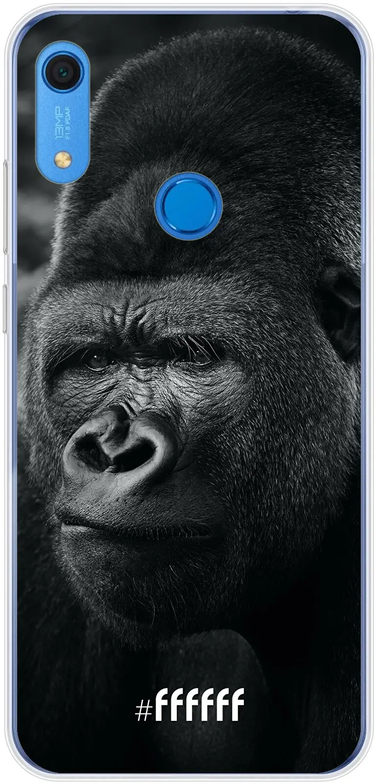 Gorilla Y6 (2019)