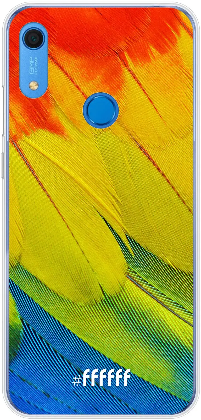 Macaw Hues Y6 (2019)