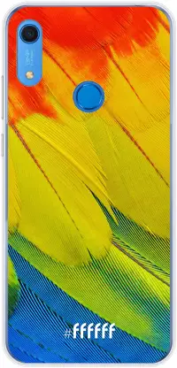 Macaw Hues Y6 (2019)