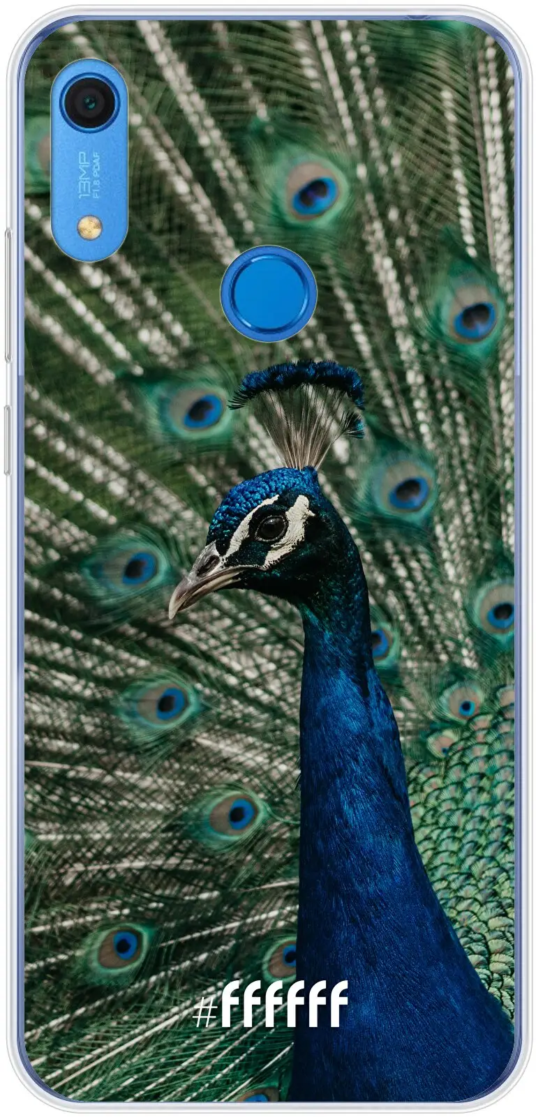 Peacock Y6 (2019)