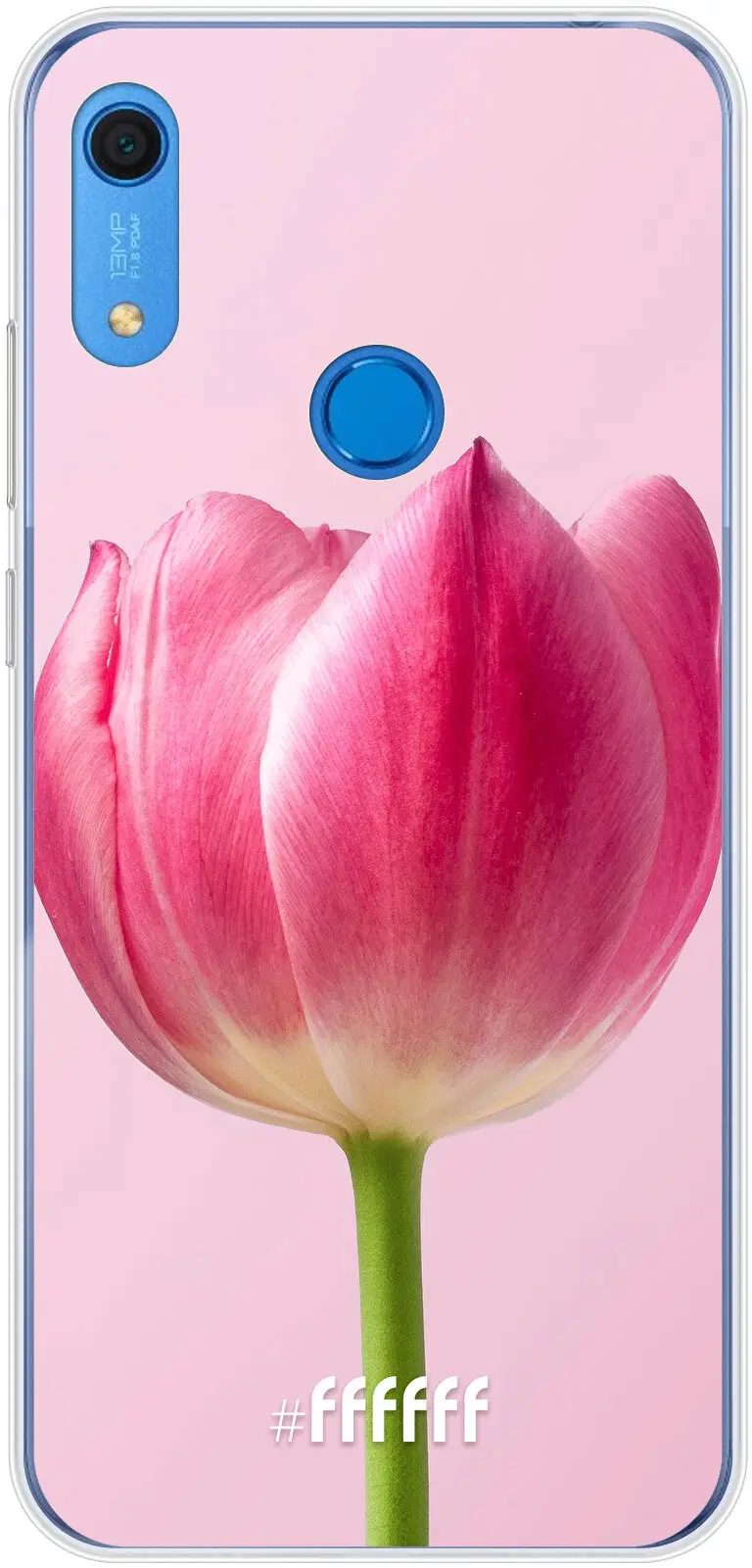 Pink Tulip Y6 (2019)