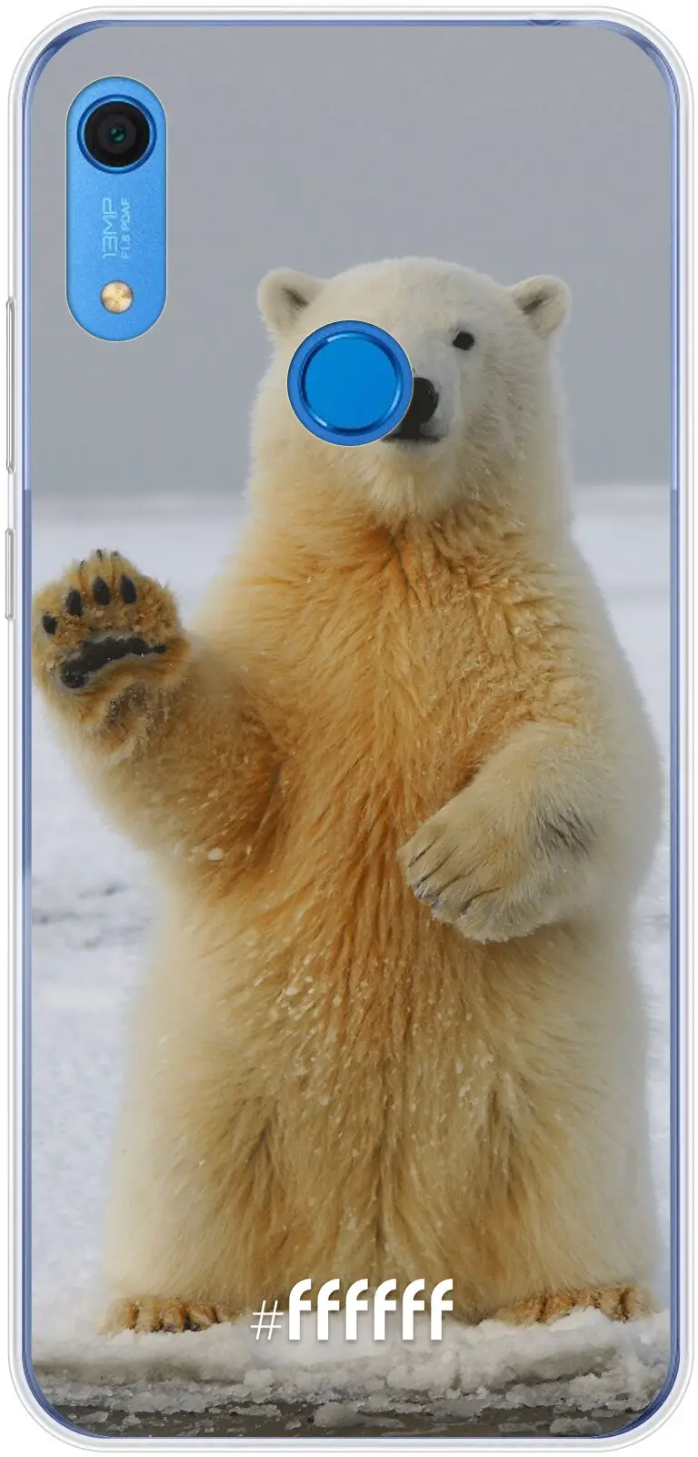 Polar Bear Y6 (2019)