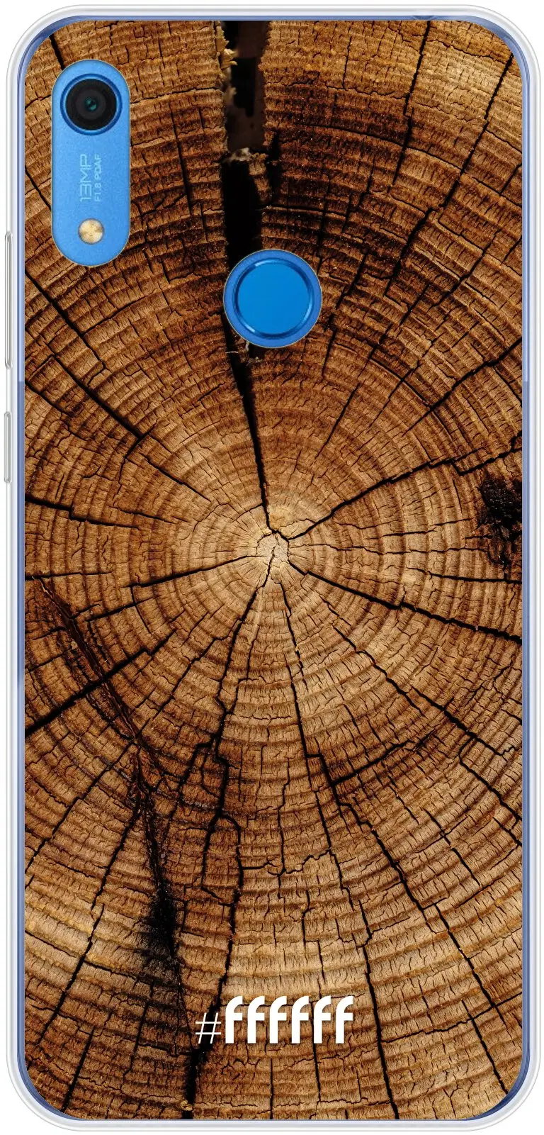 Tree Rings Y6 (2019)