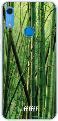 Bamboo Y6s