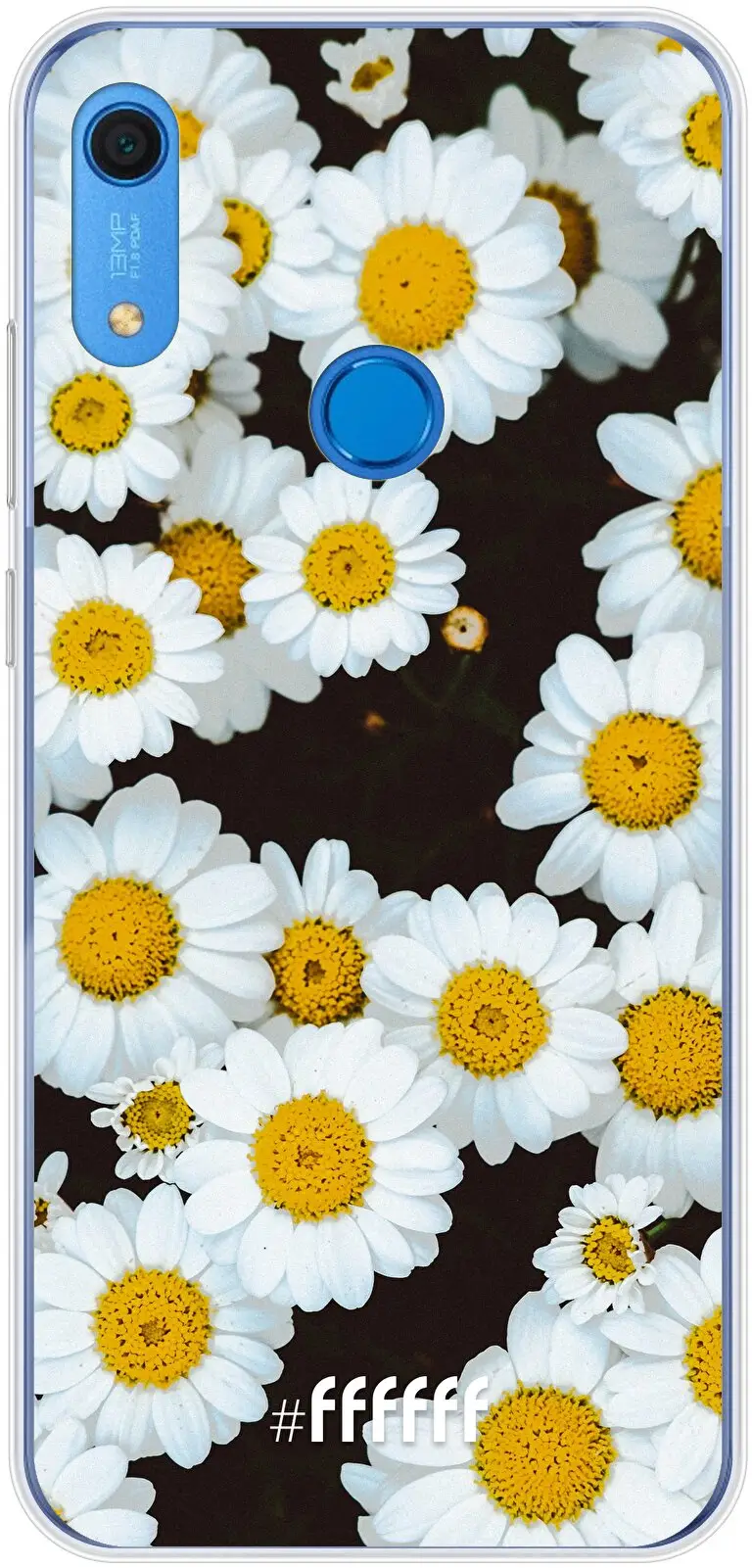 Daisies Y6s