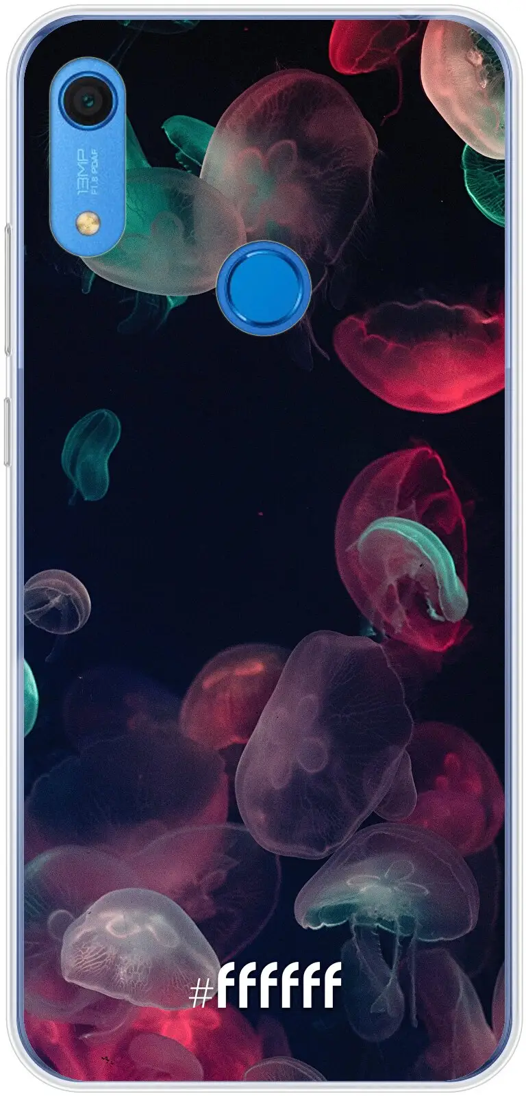 Jellyfish Bloom Y6s