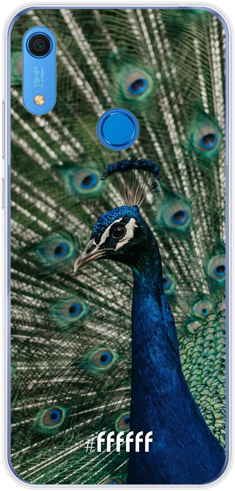 Peacock Y6s