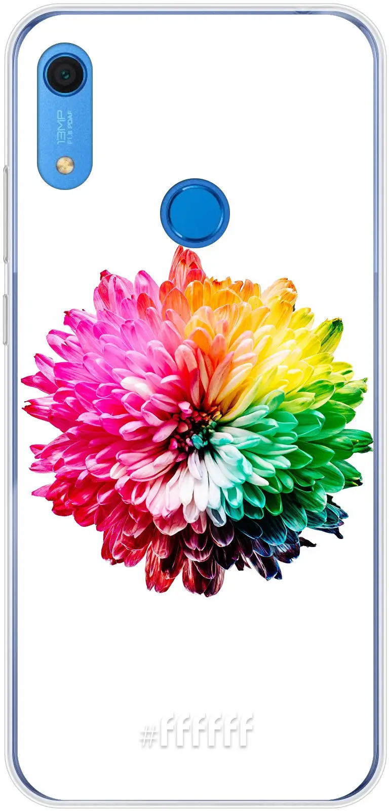 Rainbow Pompon Y6s