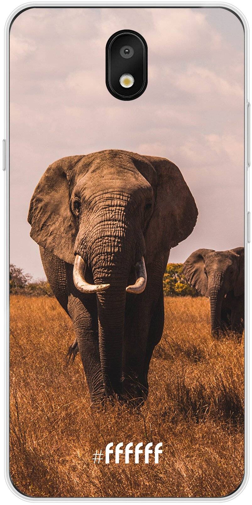 Elephants K30 (2019)