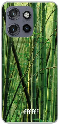 Bamboo Edge 50 Neo