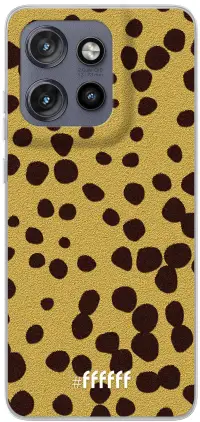 Cheetah Print Edge 50 Neo