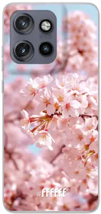 Cherry Blossom Edge 50 Neo