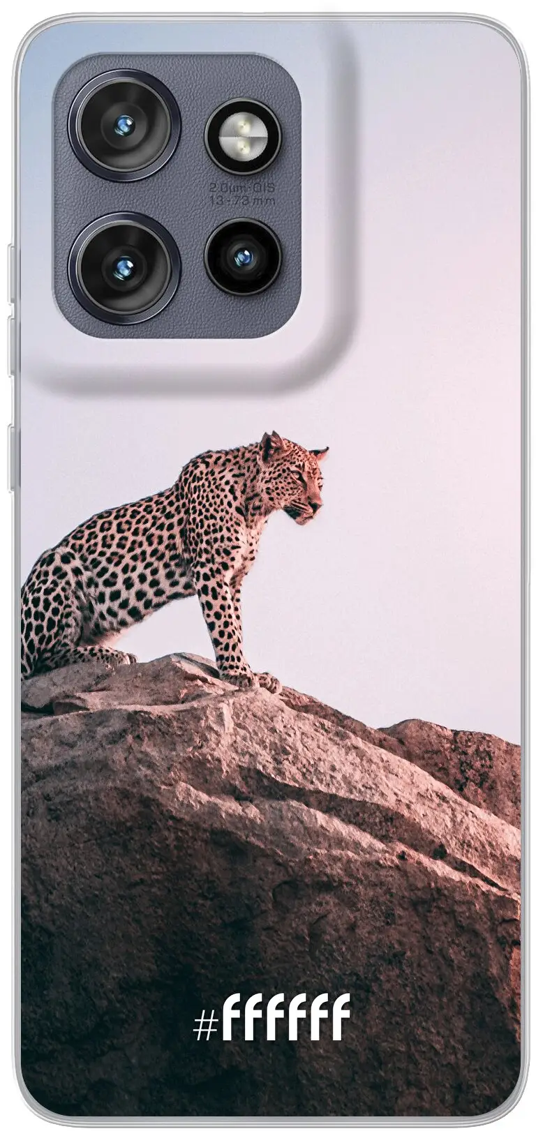 Leopard Edge 50 Neo