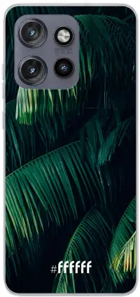 Palm Leaves Dark Edge 50 Neo