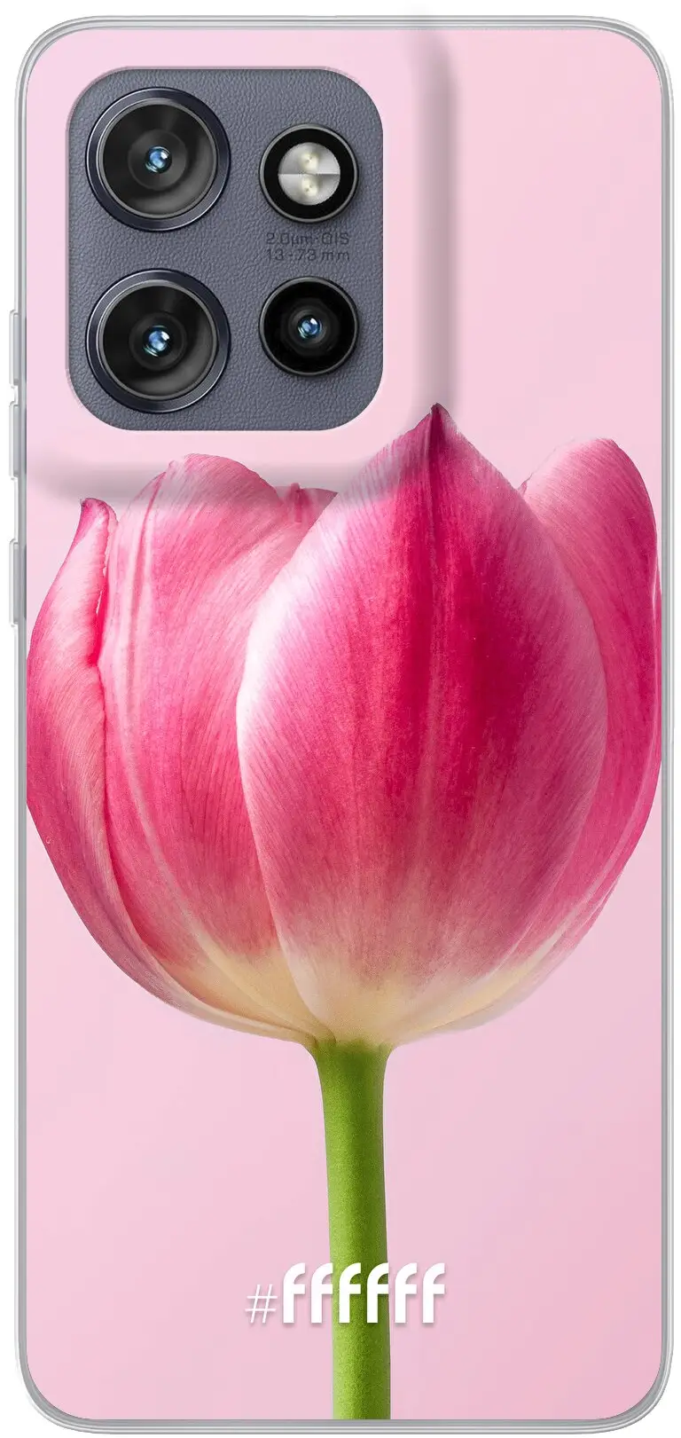 Pink Tulip Edge 50 Neo