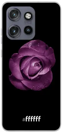 Purple Rose Edge 50 Neo