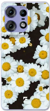 Daisies Edge 50 Pro