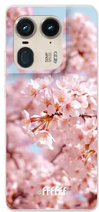 Cherry Blossom Edge 50 Ultra