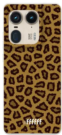 Leopard Print Edge 50 Ultra