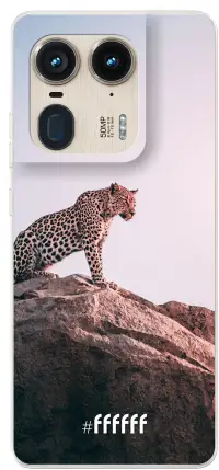 Leopard Edge 50 Ultra