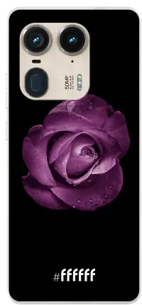 Purple Rose Edge 50 Ultra