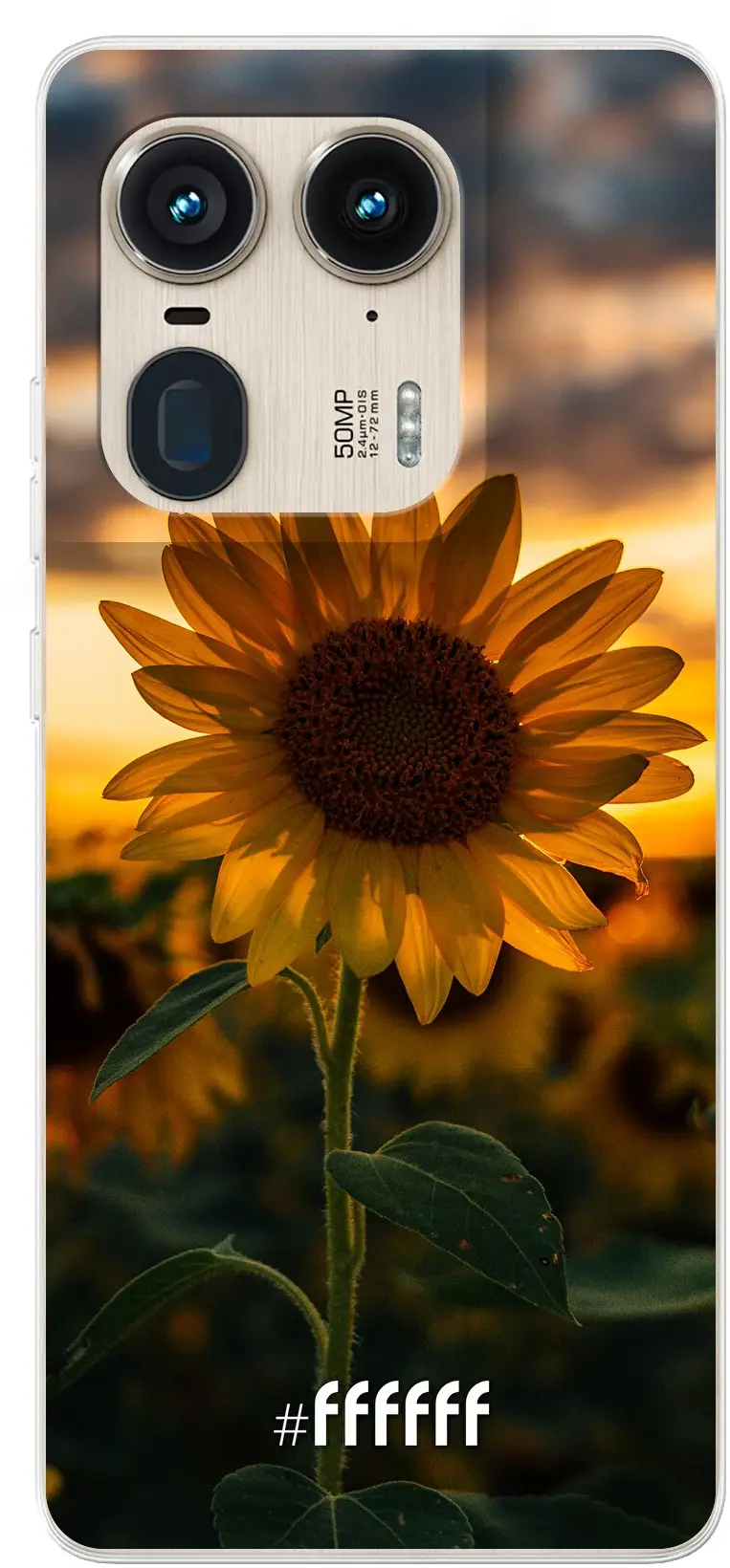 Sunset Sunflower Edge 50 Ultra