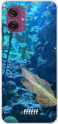 Coral Reef Moto G55