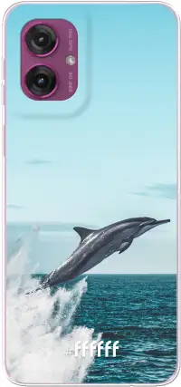 Dolphin Moto G55