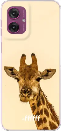 Giraffe Moto G55