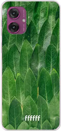 Green Scales Moto G55