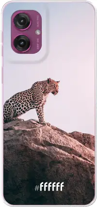 Leopard Moto G55