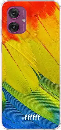 Macaw Hues Moto G55