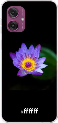 Purple Flower in the Dark Moto G55