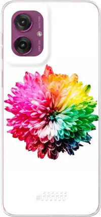 Rainbow Pompon Moto G55