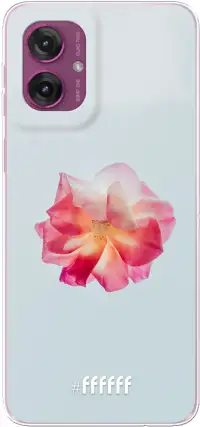 Rouge Floweret Moto G55