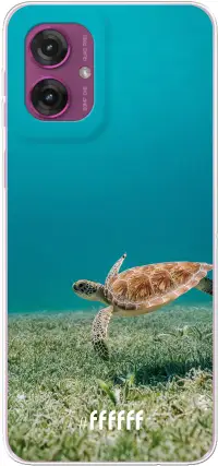 Turtle Moto G55