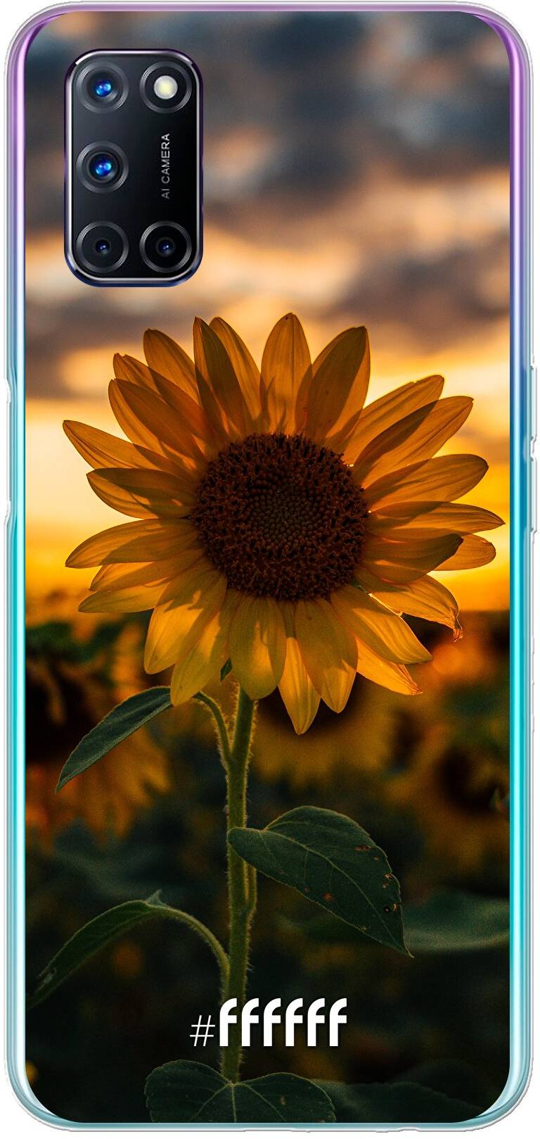 Sunset Sunflower A52