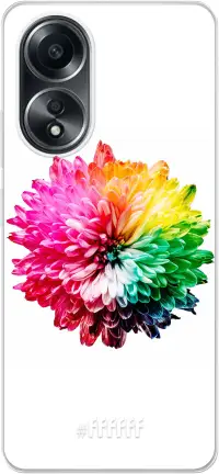 Rainbow Pompon A58 4G