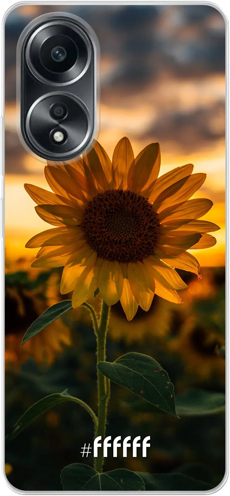 Sunset Sunflower A58 4G