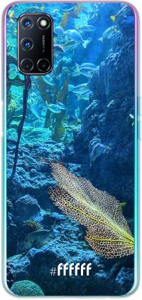 Coral Reef A72