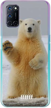 Polar Bear A72