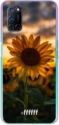 Sunset Sunflower A72