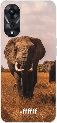 Elephants A78 5G