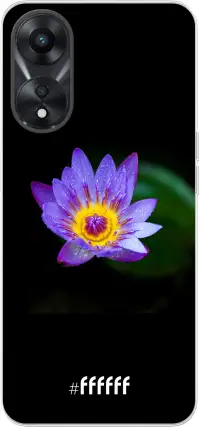 Purple Flower in the Dark A78 5G