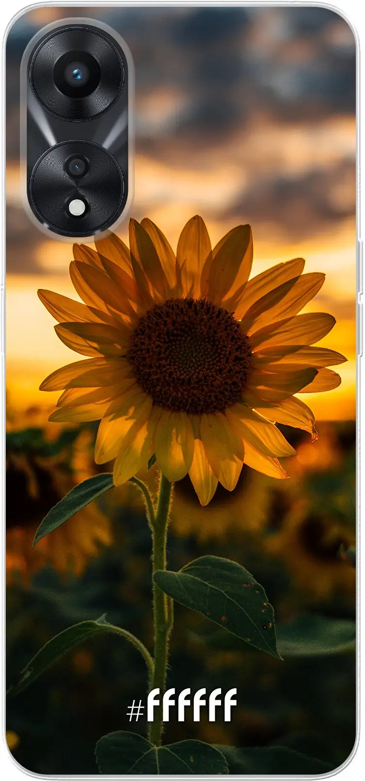 Sunset Sunflower A78 5G